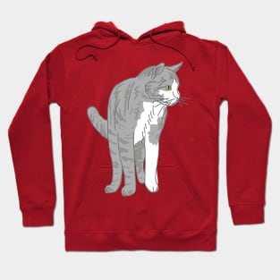 Tabby Cat Hoodie